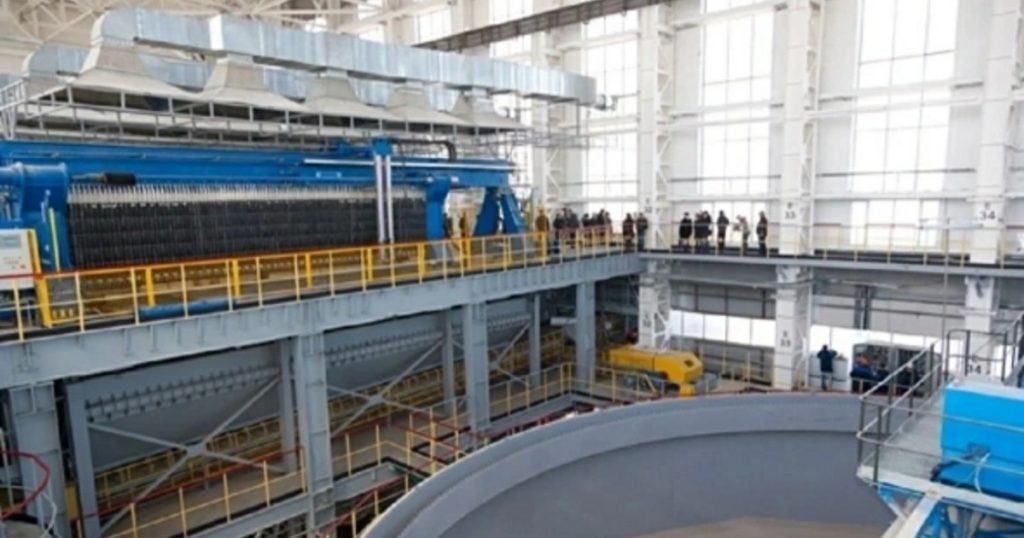 Правительство продало 57,43% акций БСК холдингу «Росхим»