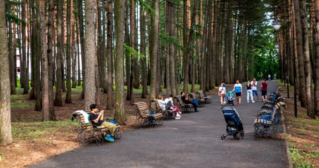 Доля населения за чертой бедности в Башкирии снизилась на 1,7%