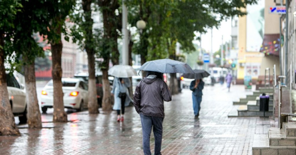 Число внесудебных банкротств граждан в Башкирии за год выросло на 72%