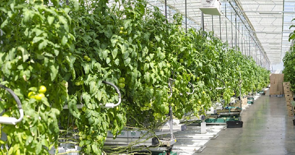 Власти Уфимского района проиграли иск о чистой воде в Алексеевке