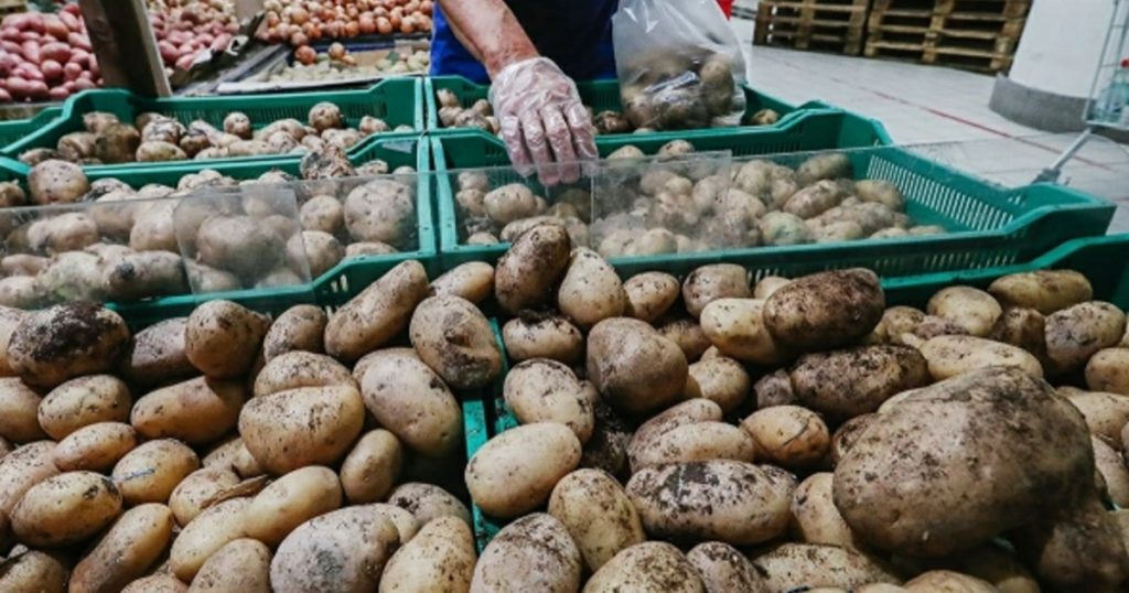 Инвесторам предложили вложить 157 млн в выращивание картофеля в Башкирии