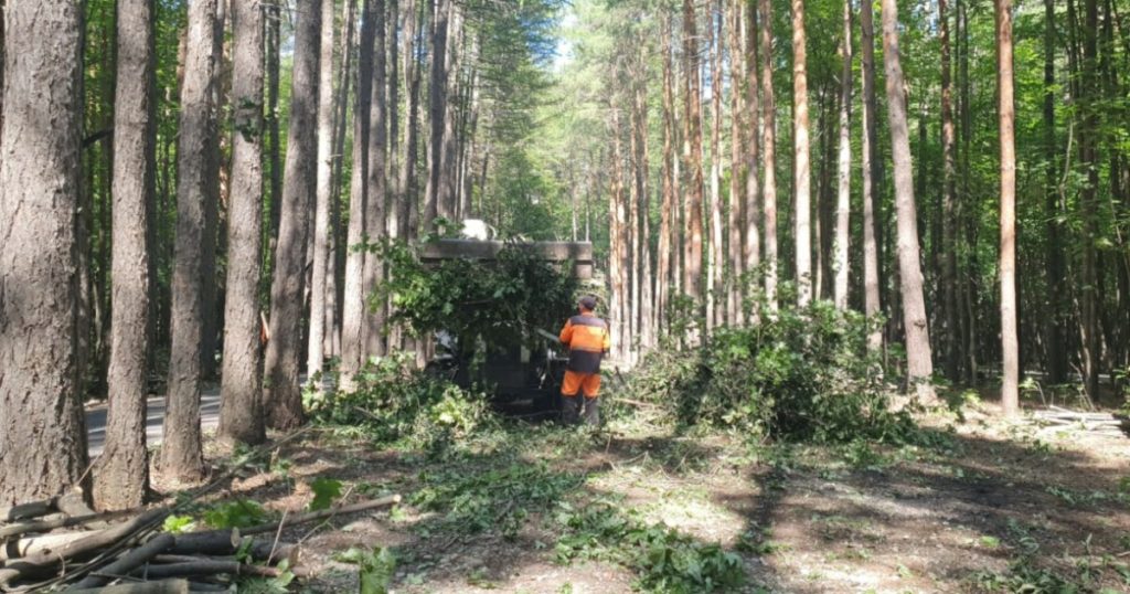 Ради строительства трех мостов в Уфе изменили границы городских лесов