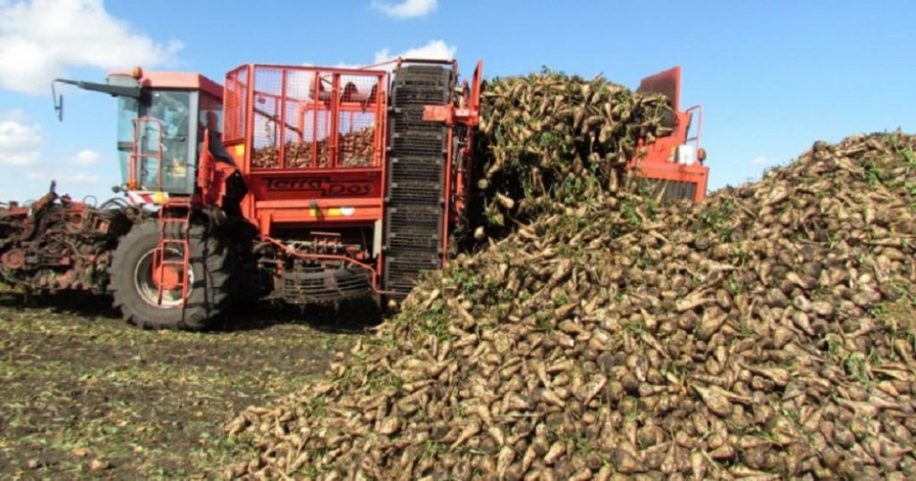 Хабиров: Башкирия увеличит экспорт сахара из-за большого урожая