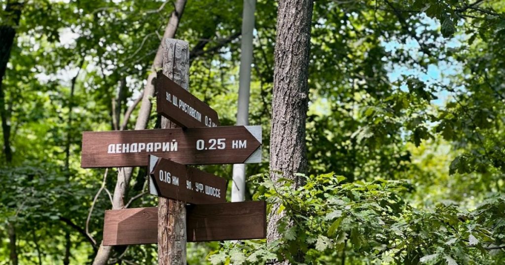 На благоустройство Непейцевского дендропарка в Уфе выделят до ₽70 млн