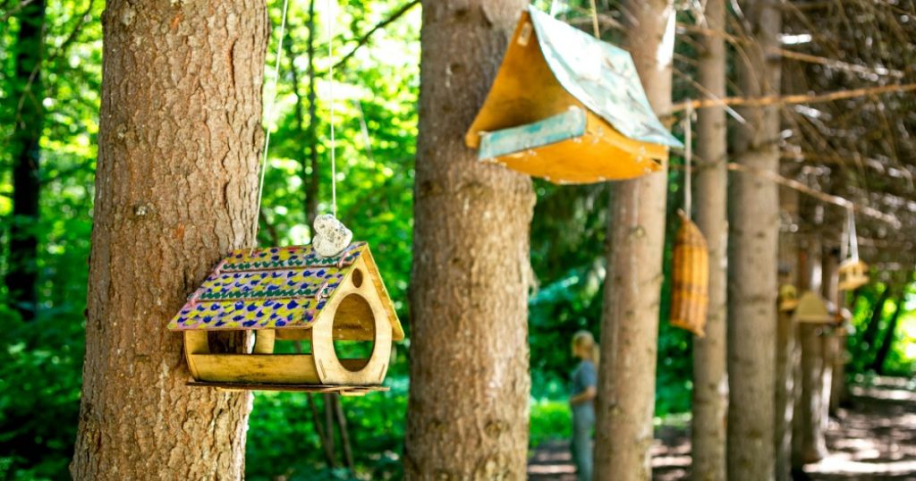 Местную власть в Башкирии лишат полномочий по охране лесов и пчеловодству