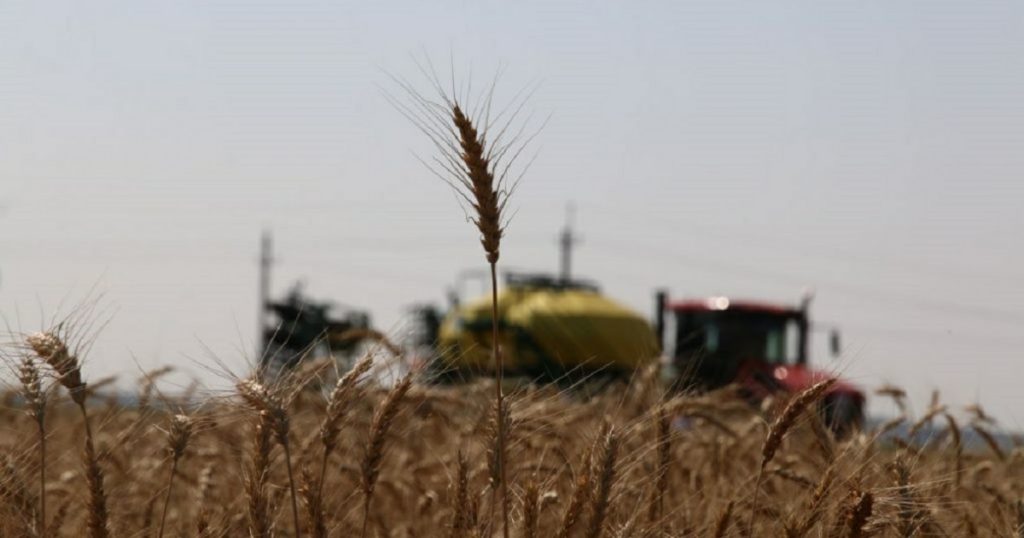 Урожай зерна в Башкирии может быть выше прошлогоднего