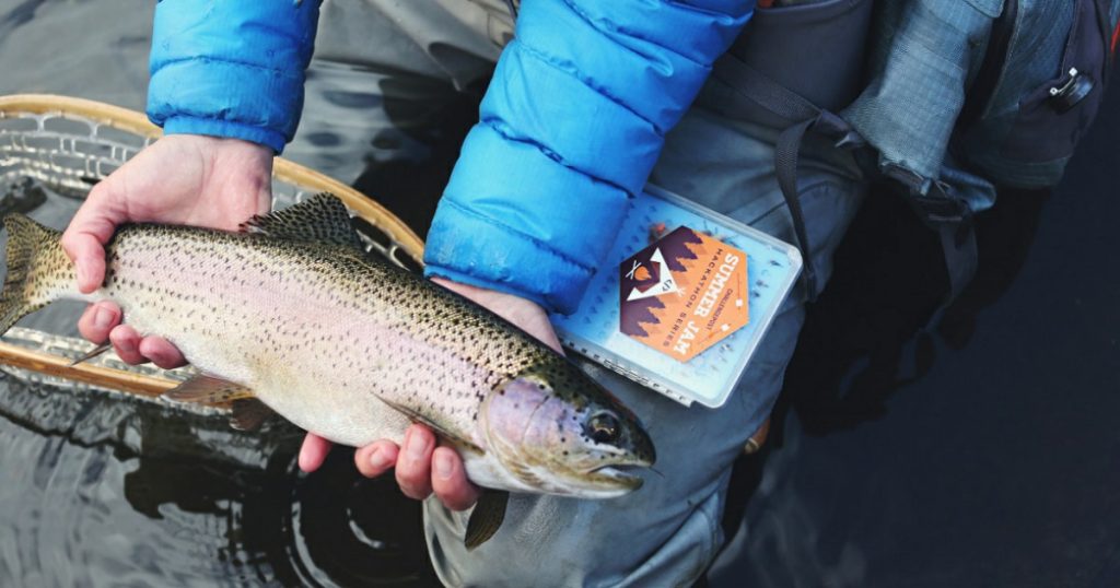 «Орловский рыбхоз» в Башкирии не смог взыскать ₽12 млн за гибель рыбы