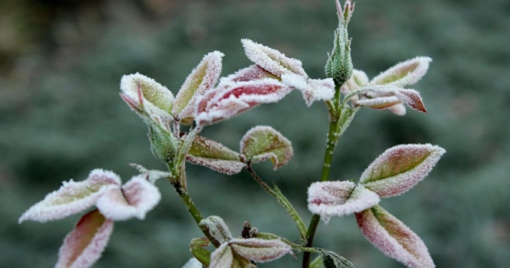 Синоптики спрогнозировали заморозки до -3 в Башкирии в выходные