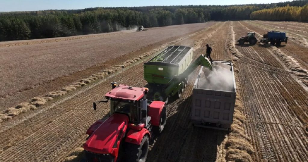 Производство продукции сельского хозяйства в Башкирии выросло на 6%