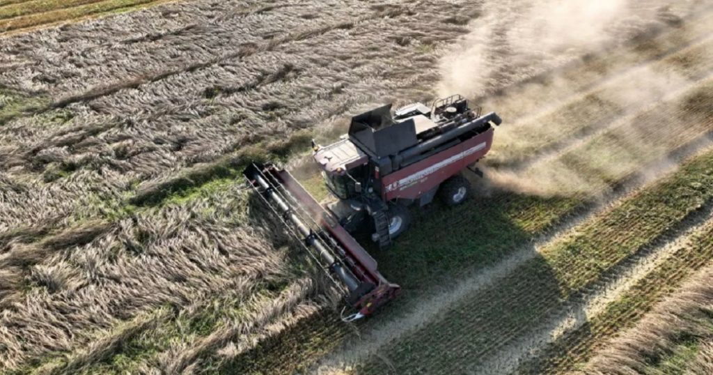 Минсельхоз предлагает ввести режим ЧС в 11 районах Башкирии