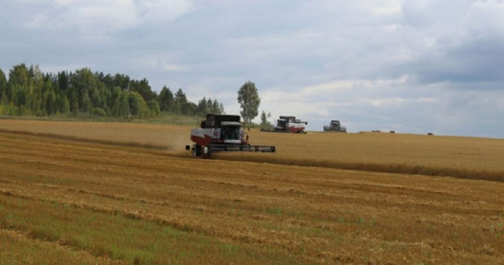 В 11 районах Башкирии ввели режим ЧС из-за гибели посевов от дождей