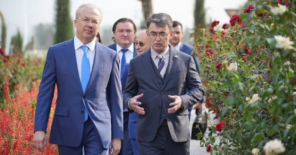 Башкирия поможет Таджикистану создать индустриальный парк за ₽500 млн