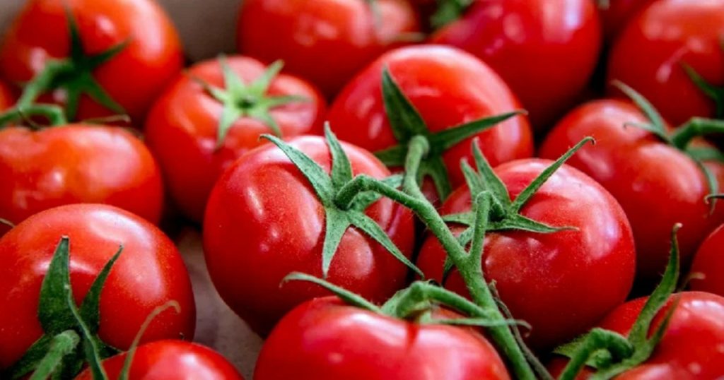 Власти отказали в предоставлении 28 га земли в Уфе под питомник