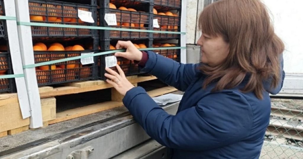 Импорт овощей и фруктов в Башкирию за год сократился вдвое