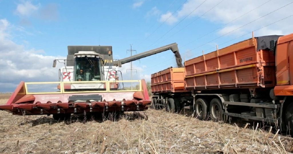 Площадь масличных культур в Башкирии хотят довести до 1 млн га