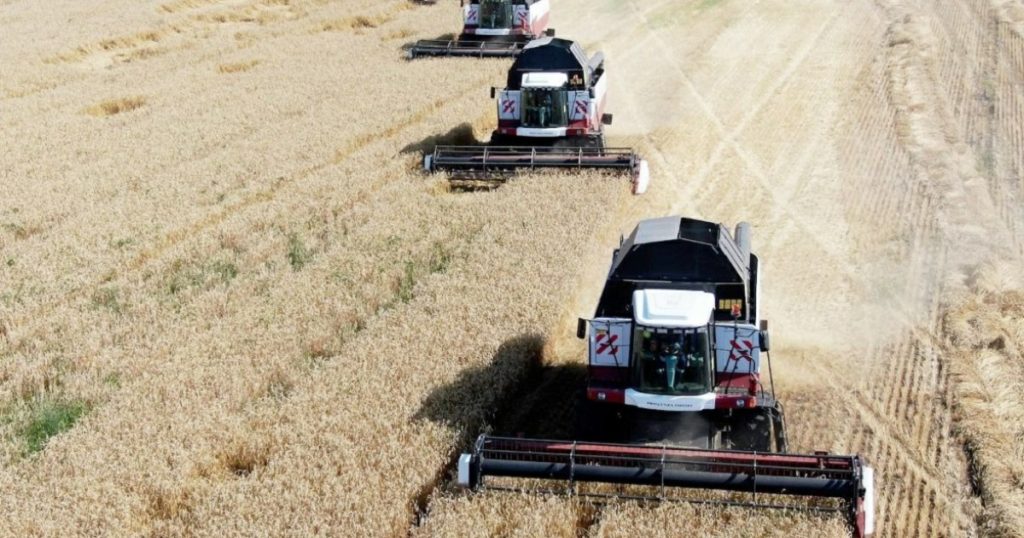 Валовой урожай зерна в Башкирии вырос на 15%