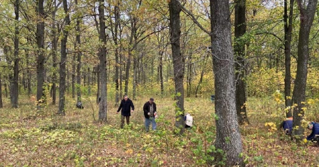 Суд не увидел сговора в борьбе с лесными вредителями в Башкирии