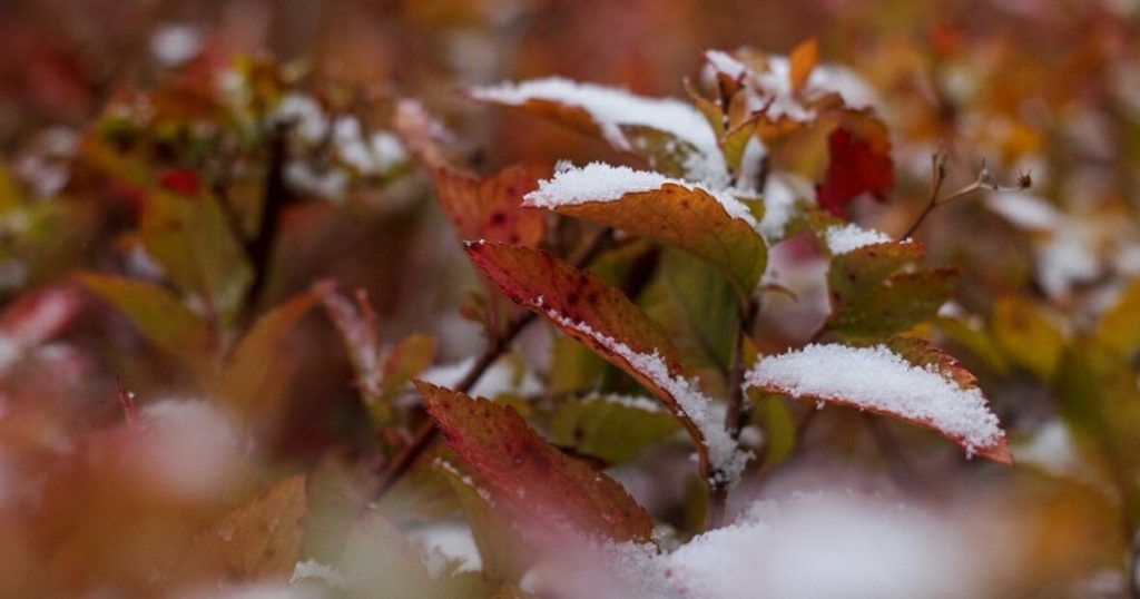 Синоптики прогнозируют дожди со снегом в выходные в Башкирии