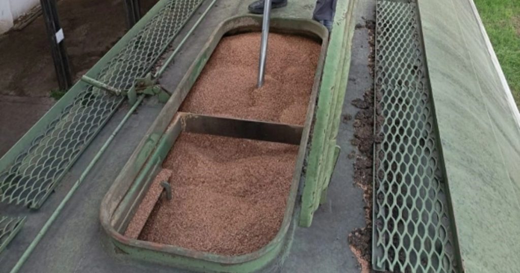 Экспорт зерна из Башкирии за год сократился в 2,2 раза