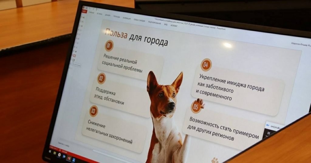 В Уфе может появиться первое кладбище для домашних животных