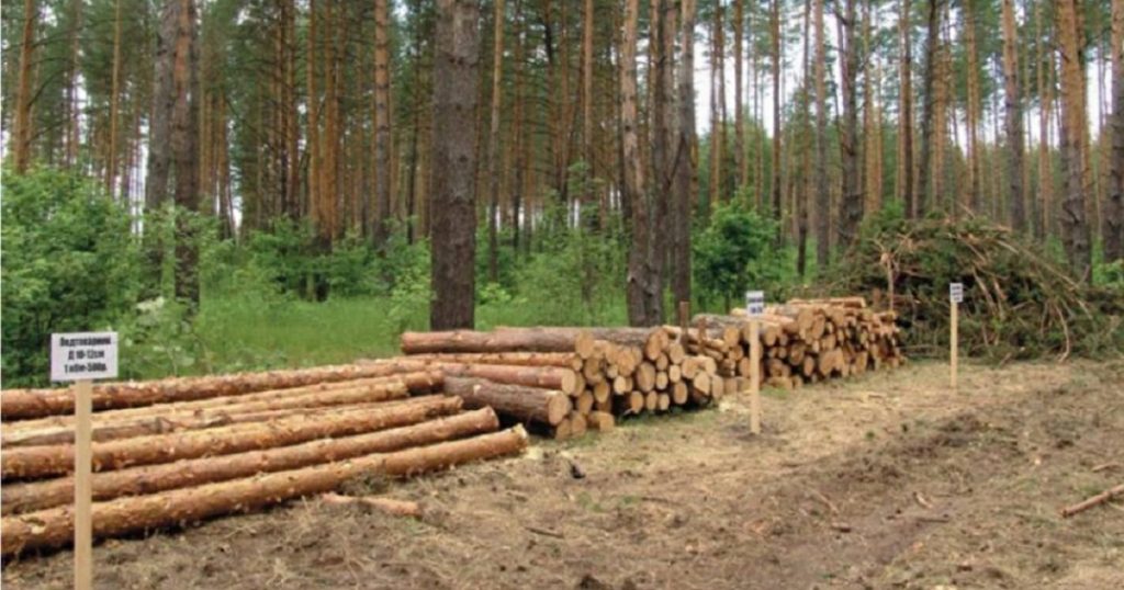 Лесозаготовка в Башкирии сократилась на 10%