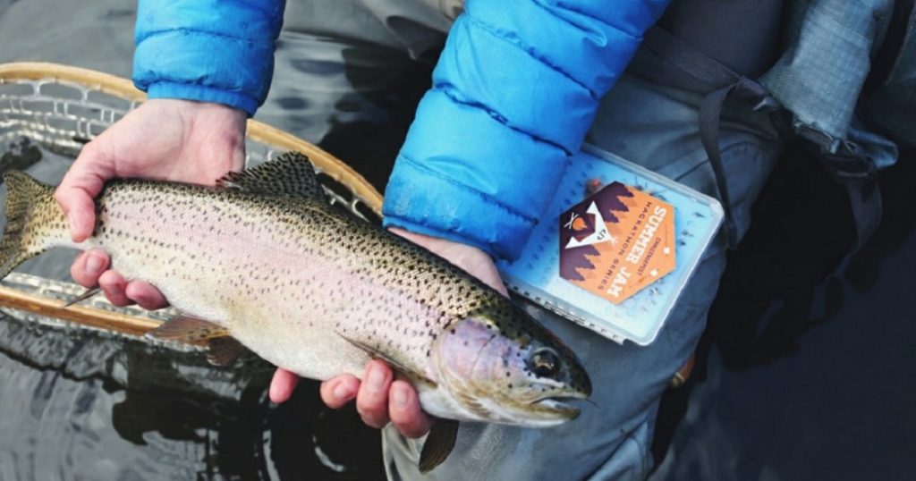 С крупнейшего агроинвестора Башкирии не добились выплат за гибель рыбы