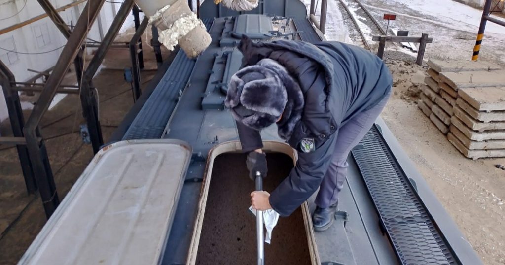 Башкирия увеличила поставки зерна в другие регионы в 1,6 раза