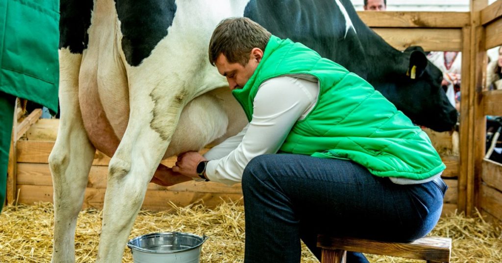 Минсельхоз назвал молочную отрасль ключевой для АПК Башкирии