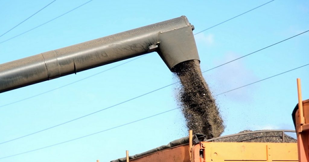 Урожай масличных культур в Башкирии в 2025 году вырос на 56%