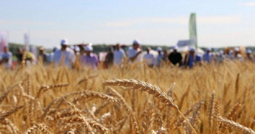 В Башкирии увеличилась выручка от экспорта сельхозпродукции