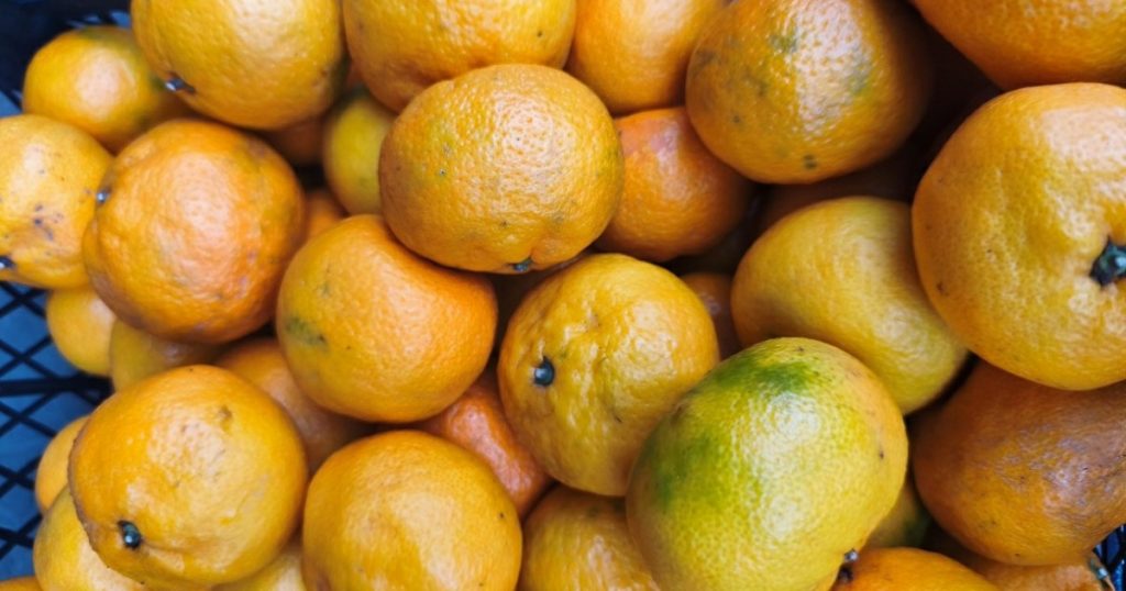 Импорт овощей и фруктов в Башкирию в 2025 году вырос на 16%