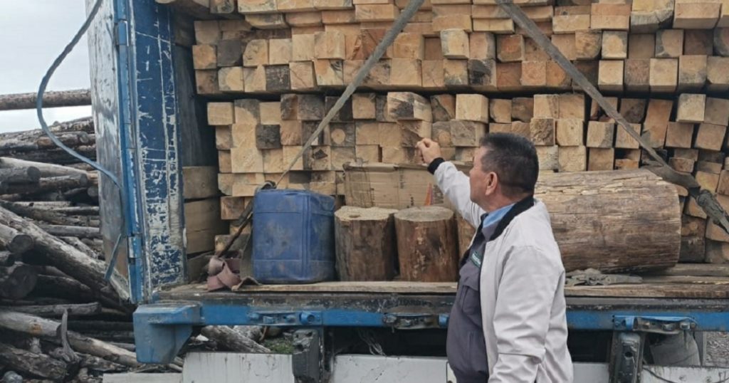 Башкирия получит ₽278 млн на сохранение лесов