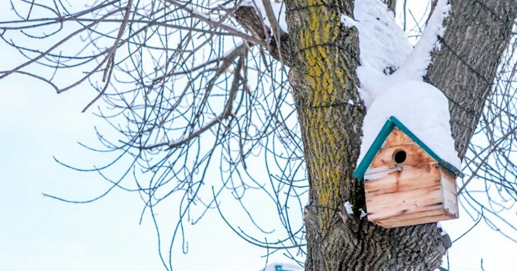 Жителей Башкирии ждут морозы до -35 в выходные