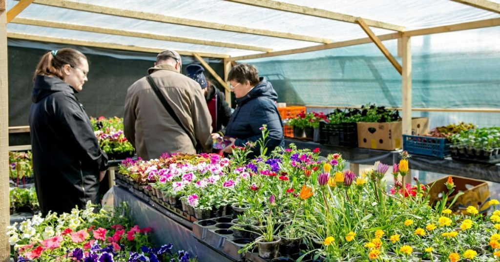 Цветочный рынок Башкирии за четыре года вырос на 12,5%