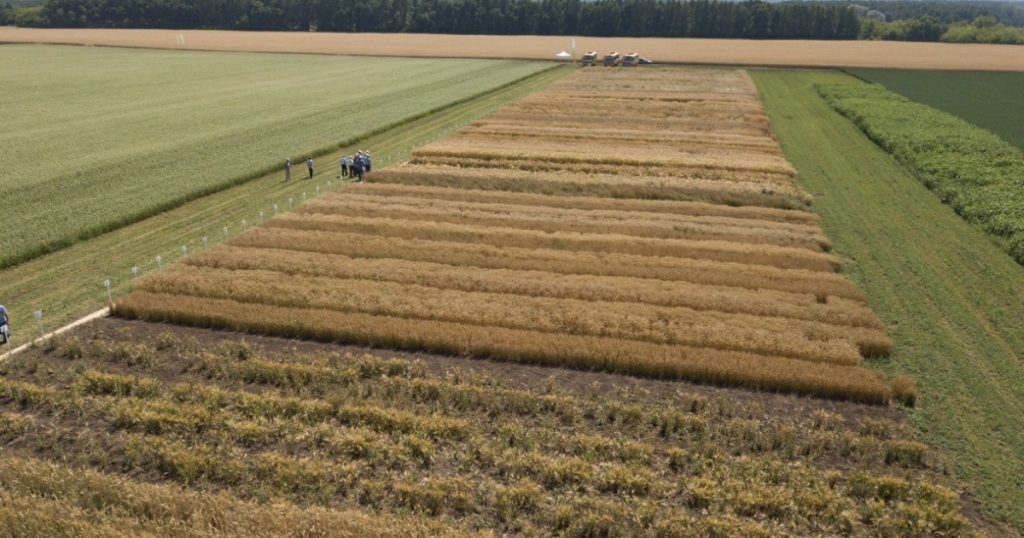 Долги арендаторов земли в Башкирии за год снизились на 9%