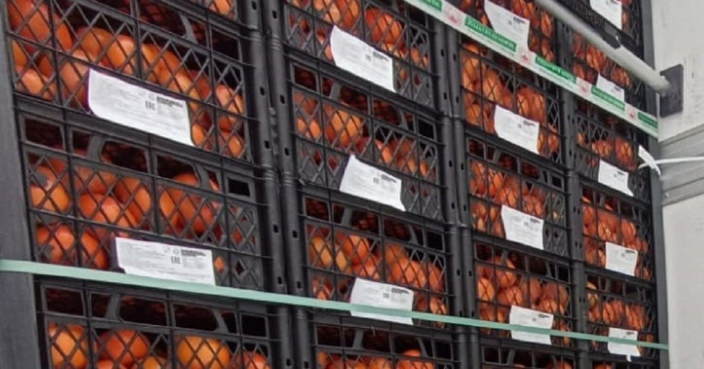 Импорт фруктов и овощей в Башкирию снизился в 2,6 раза