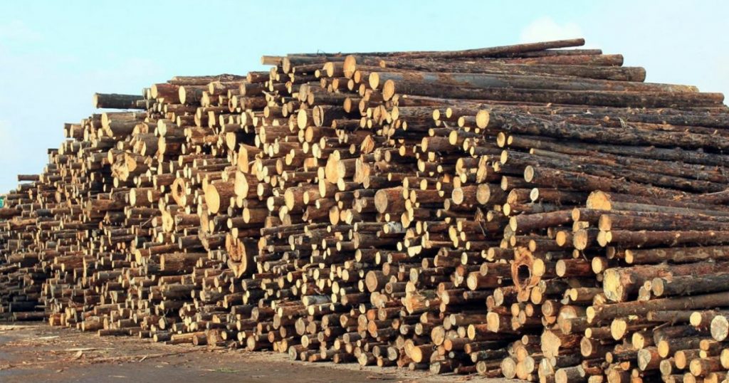 Дело о взыскании долгов «БашЛПК» с менеджмента вернули на пересмотр