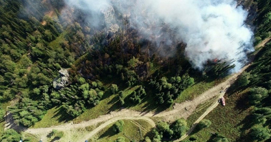 На авиапатрулирование лесов в Башкирии выделят до ₽58 млн