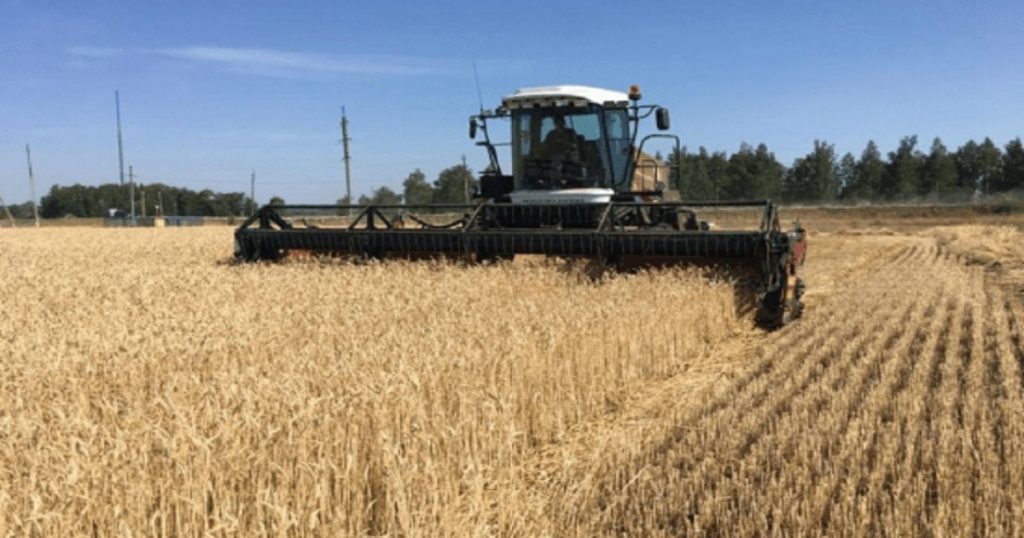 Госкомпания Татарстана взыскала ₽22 млн с фирмы в Башкирии за удобрения