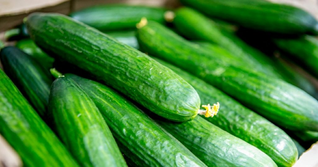 В Башкирии спрогнозировали снижение цен на огурцы