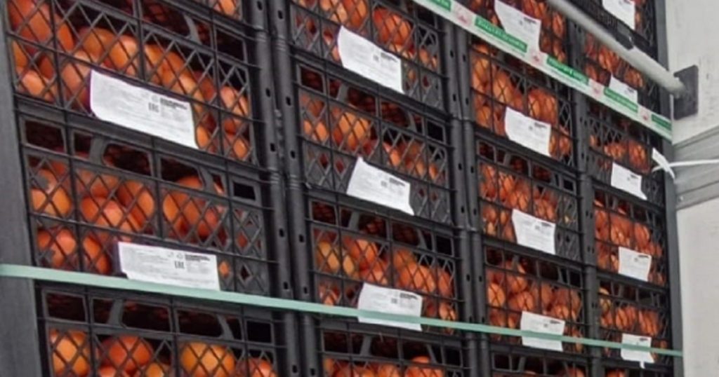 Импорт фруктов и овощей в Башкирию за год снизился на четверть